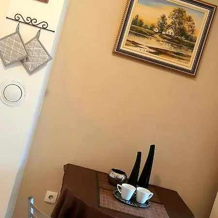 Skalar Novi Sad